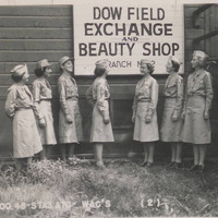 Dow-Field-Photograph-Album-v1-p1.pdf